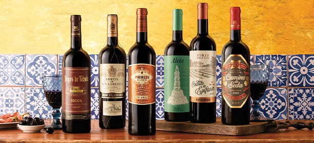 red wine Spain good but not expensive