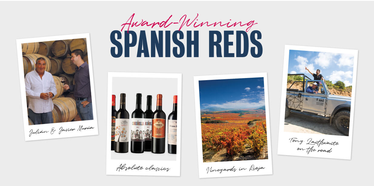 spanish red wine rioja